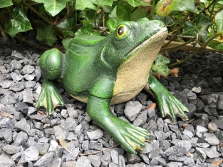 Schöner gusseiserner Frosch, passt gut zum Teich!